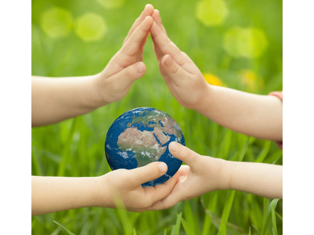 8 Ways to Live More Sustainably