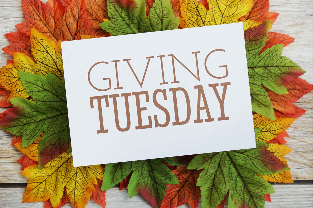 How Parents Can Support Healthier Schools on Giving Tuesday