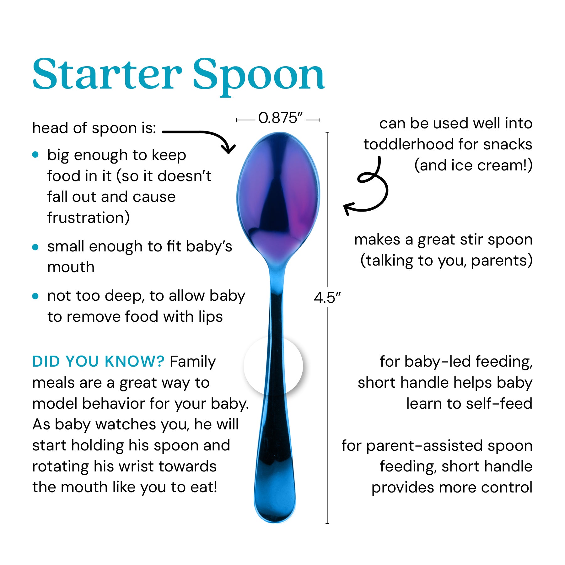Starter Spoon - the head of the spoon is 0.875 inches, big enough to keep food in it (so it doesn't fall out and cause frustration), small enough to fit baby's mouth, and not too deep, to allow baby to remove food with lips. Did you know? Family meals are a great way to model behavior for your baby. As baby watches you, he will start holding his spoon and rotating his wrist towards the mouth like you to eat! The Starter Spoon can be used well into toddlerhood for snacks (and ice cream), makes a great stir)