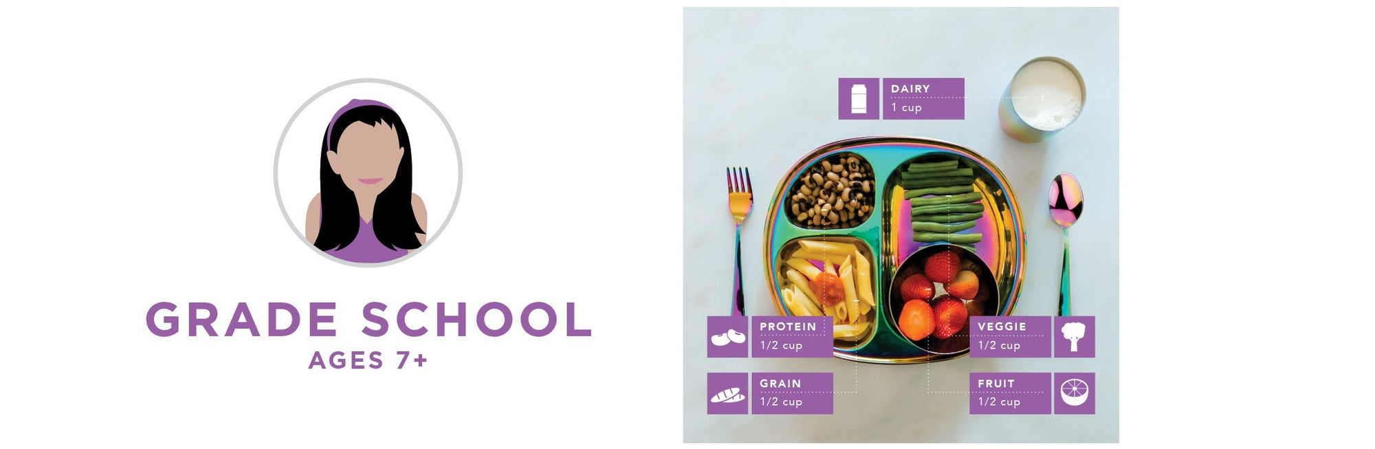 Grade School ages 7+ Mealtime Guides - Dairy 1 cup, Protein 1/2 cup, Grain 1/2 cup, Veggie 1/2 cup and Fruit 1/2 cup