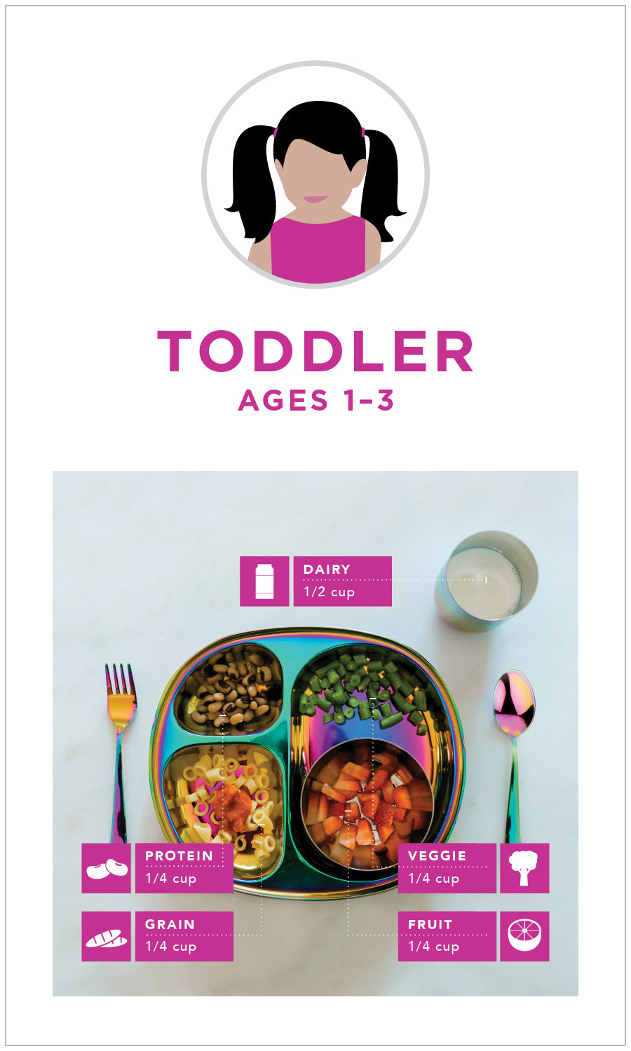 Toddler ages 1-3 Mealtime Guides - Dairy 1/2 cup, Protein 1/4 cup, Grain 1/4 cup, Veggie 1/4 cup and Fruit 1/4 cup