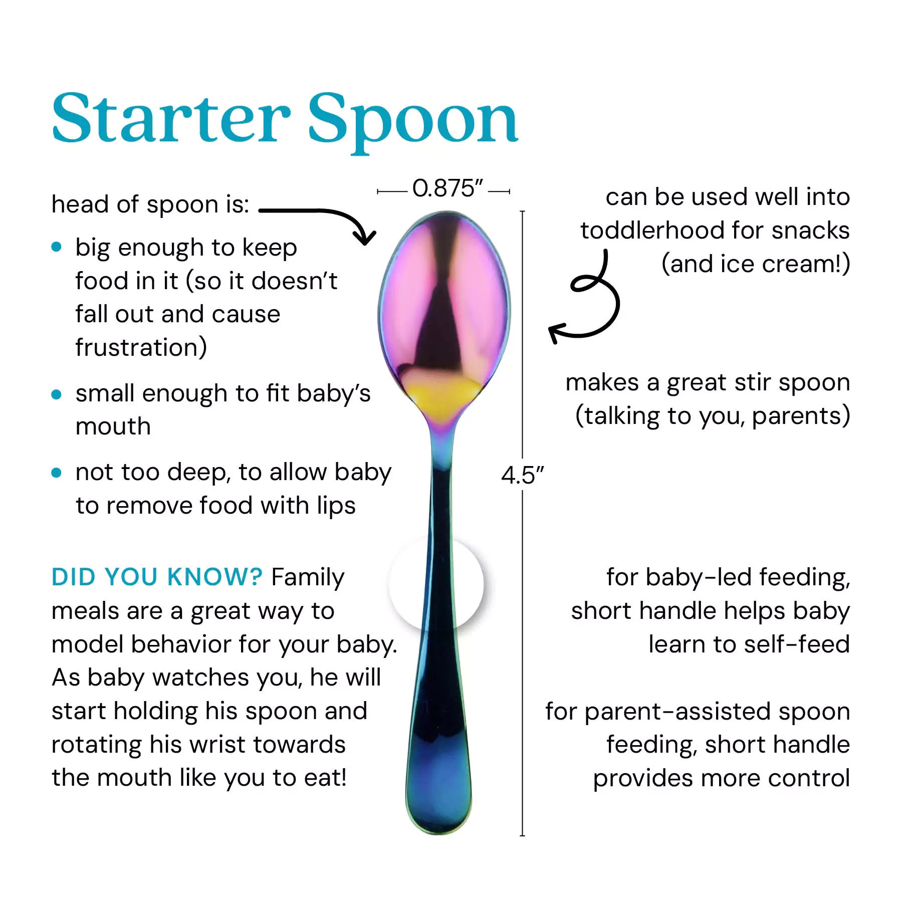 Starter Spoon - the head of the spoon is 0.875 inches, big enough to keep food in it (so it doesn't fall out and cause frustration), small enough to fit baby's mouth, and not too deep, to allow baby to remove food with lips. Did you know? Family meals are a great way to model behavior for your baby. As baby watches you, he will start holding his spoon and rotating his wrist towards the mouth like you to eat! The Starter Spoon can be used well into toddlerhood for snacks (and ice cream), makes a great stir)